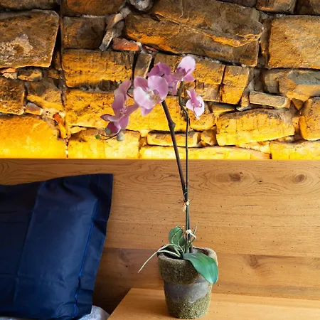 Stevoski - Modern Comfort In A Historic Stone House
